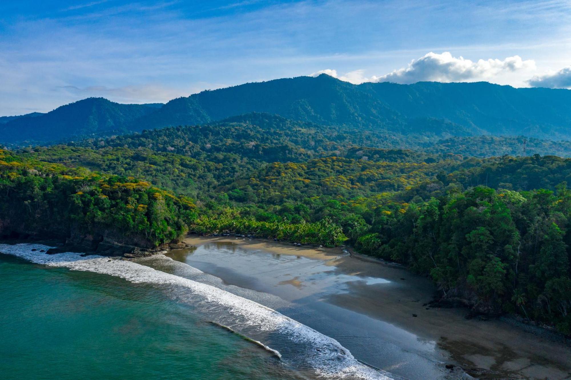 Elan At Ballena Beach Увита Экстерьер фото
